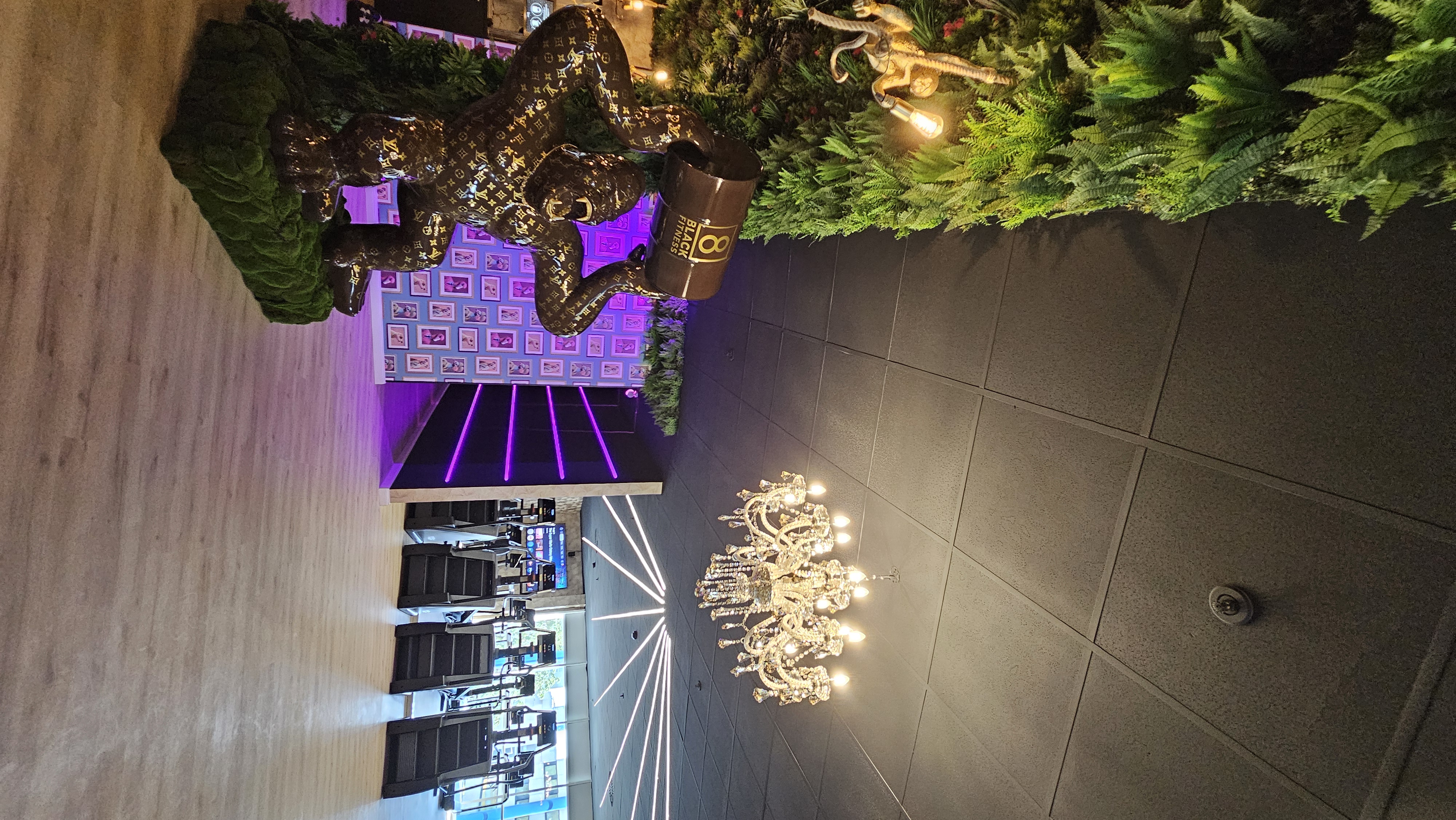 8Black Fitness Ravensburg